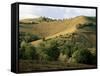 Landscape Near Chieti, Abruzzo, Italy-Michael Newton-Framed Stretched Canvas