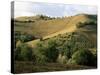 Landscape Near Chieti, Abruzzo, Italy-Michael Newton-Stretched Canvas