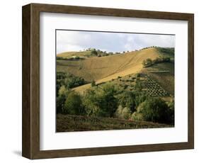 Landscape Near Chieti, Abruzzo, Italy-Michael Newton-Framed Photographic Print