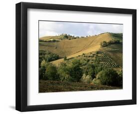 Landscape Near Chieti, Abruzzo, Italy-Michael Newton-Framed Photographic Print