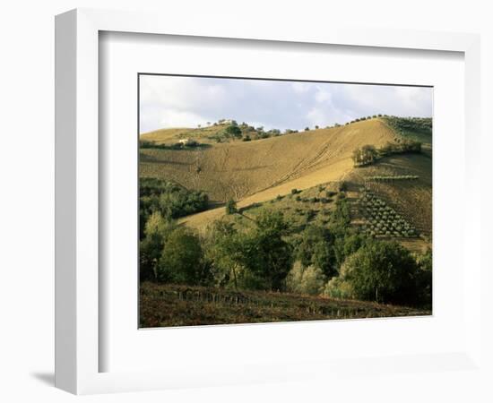 Landscape Near Chieti, Abruzzo, Italy-Michael Newton-Framed Photographic Print