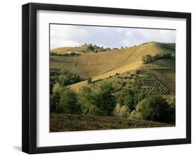 Landscape Near Chieti, Abruzzo, Italy-Michael Newton-Framed Photographic Print