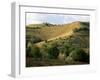 Landscape Near Chieti, Abruzzo, Italy-Michael Newton-Framed Photographic Print