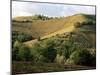 Landscape Near Chieti, Abruzzo, Italy-Michael Newton-Mounted Photographic Print