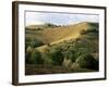 Landscape Near Chieti, Abruzzo, Italy-Michael Newton-Framed Photographic Print