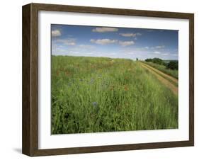 Landscape Near Clecy, Basse Normandie (Normandy), France-Michael Busselle-Framed Photographic Print