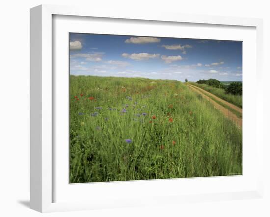 Landscape Near Clecy, Basse Normandie (Normandy), France-Michael Busselle-Framed Photographic Print