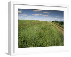 Landscape Near Clecy, Basse Normandie (Normandy), France-Michael Busselle-Framed Photographic Print