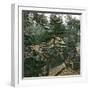 Landscape Near Edo (Japan) Circa 1860-Leon, Levy et Fils-Framed Photographic Print