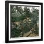 Landscape Near Edo (Japan) Circa 1860-Leon, Levy et Fils-Framed Photographic Print