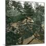Landscape Near Edo (Japan) Circa 1860-Leon, Levy et Fils-Mounted Photographic Print