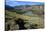 Landscape near El Chalten, Argentine Patagonia, Argentina, South America-David Pickford-Stretched Canvas