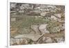 Landscape near Emborio-Guido Cozzi-Framed Photographic Print