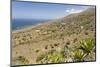 Landscape near Galinheiro in the north west of the island. Fogo Island, part of Cape Verde-Martin Zwick-Mounted Photographic Print