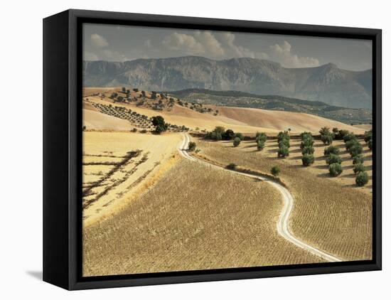 Landscape Near Jaen, Andalucia, Spain-Michael Busselle-Framed Stretched Canvas