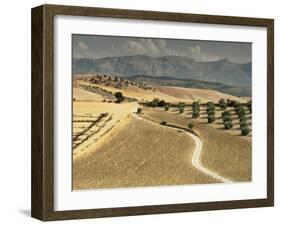 Landscape Near Jaen, Andalucia, Spain-Michael Busselle-Framed Photographic Print