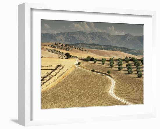 Landscape Near Jaen, Andalucia, Spain-Michael Busselle-Framed Photographic Print