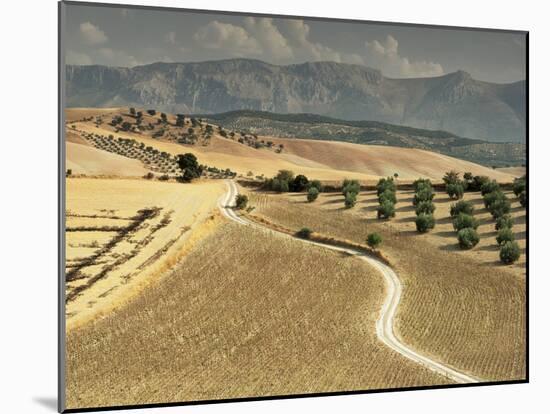 Landscape Near Jaen, Andalucia, Spain-Michael Busselle-Mounted Photographic Print