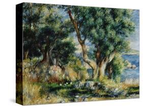 Landscape near Menton-Pierre-Auguste Renoir-Stretched Canvas