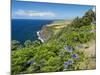 Landscape near Miradouro do Raminho.-Martin Zwick-Mounted Photographic Print