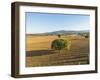 Landscape near Monteriggioni-Guido Cozzi-Framed Photographic Print