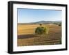 Landscape near Monteriggioni-Guido Cozzi-Framed Photographic Print