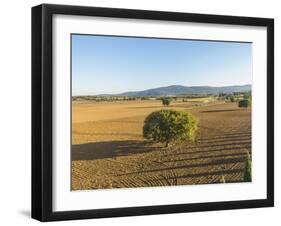 Landscape near Monteriggioni-Guido Cozzi-Framed Photographic Print