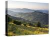 Landscape Near Montsegur, Ariege, Pyrenees, France-Doug Pearson-Stretched Canvas