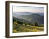 Landscape Near Montsegur, Ariege, Pyrenees, France-Doug Pearson-Framed Photographic Print