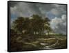 Landscape Near Muiderberg, Early 1650s-Jacob van Ruisdael-Framed Stretched Canvas