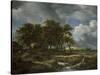 Landscape Near Muiderberg, Early 1650s-Jacob van Ruisdael-Stretched Canvas