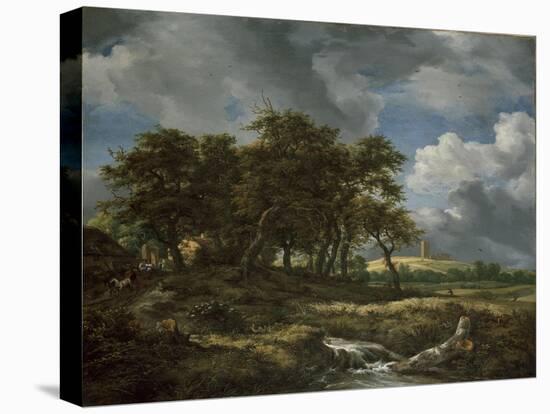 Landscape Near Muiderberg, Early 1650s-Jacob van Ruisdael-Stretched Canvas