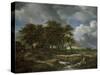 Landscape Near Muiderberg, Early 1650s-Jacob van Ruisdael-Stretched Canvas