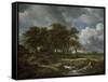 Landscape Near Muiderberg, Early 1650s-Jacob van Ruisdael-Framed Stretched Canvas