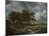 Landscape Near Muiderberg, Early 1650s-Jacob van Ruisdael-Mounted Giclee Print