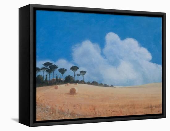 Landscape Near Paganico, 2012-Lincoln Seligman-Framed Stretched Canvas