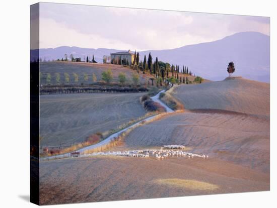 Landscape Near Pienza, Siena Province, Tuscany, Italy-Bruno Morandi-Stretched Canvas