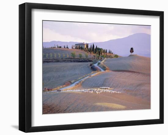 Landscape Near Pienza, Siena Province, Tuscany, Italy-Bruno Morandi-Framed Photographic Print