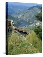 Landscape Near Pinhao, Douro Region, Portugal, Europe-Robert Harding-Stretched Canvas