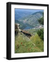 Landscape Near Pinhao, Douro Region, Portugal, Europe-Robert Harding-Framed Photographic Print