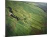 Landscape near Pukalani-Guido Cozzi-Mounted Photographic Print