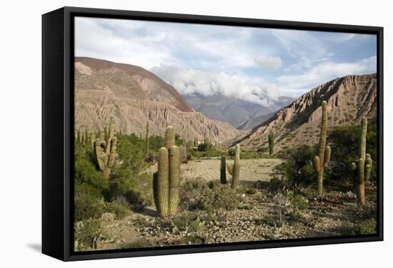 Landscape Near Purmamarca, Jujuy Province, Argentina, South America-Yadid Levy-Framed Stretched Canvas