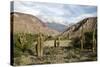 Landscape Near Purmamarca, Jujuy Province, Argentina, South America-Yadid Levy-Stretched Canvas