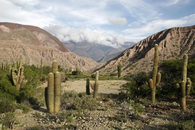 https://imgc.allpostersimages.com/img/posters/landscape-near-purmamarca-jujuy-province-argentina-south-america_u-L-PNPO5G0.jpg?artPerspective=n