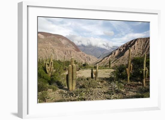 Landscape Near Purmamarca, Jujuy Province, Argentina, South America-Yadid Levy-Framed Photographic Print