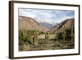 Landscape Near Purmamarca, Jujuy Province, Argentina, South America-Yadid Levy-Framed Photographic Print