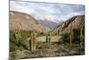 Landscape Near Purmamarca, Jujuy Province, Argentina, South America-Yadid Levy-Mounted Photographic Print