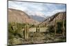 Landscape Near Purmamarca, Jujuy Province, Argentina, South America-Yadid Levy-Mounted Photographic Print