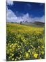 Landscape near San Juan-Guido Cozzi-Mounted Photographic Print