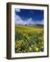 Landscape near San Juan-Guido Cozzi-Framed Photographic Print